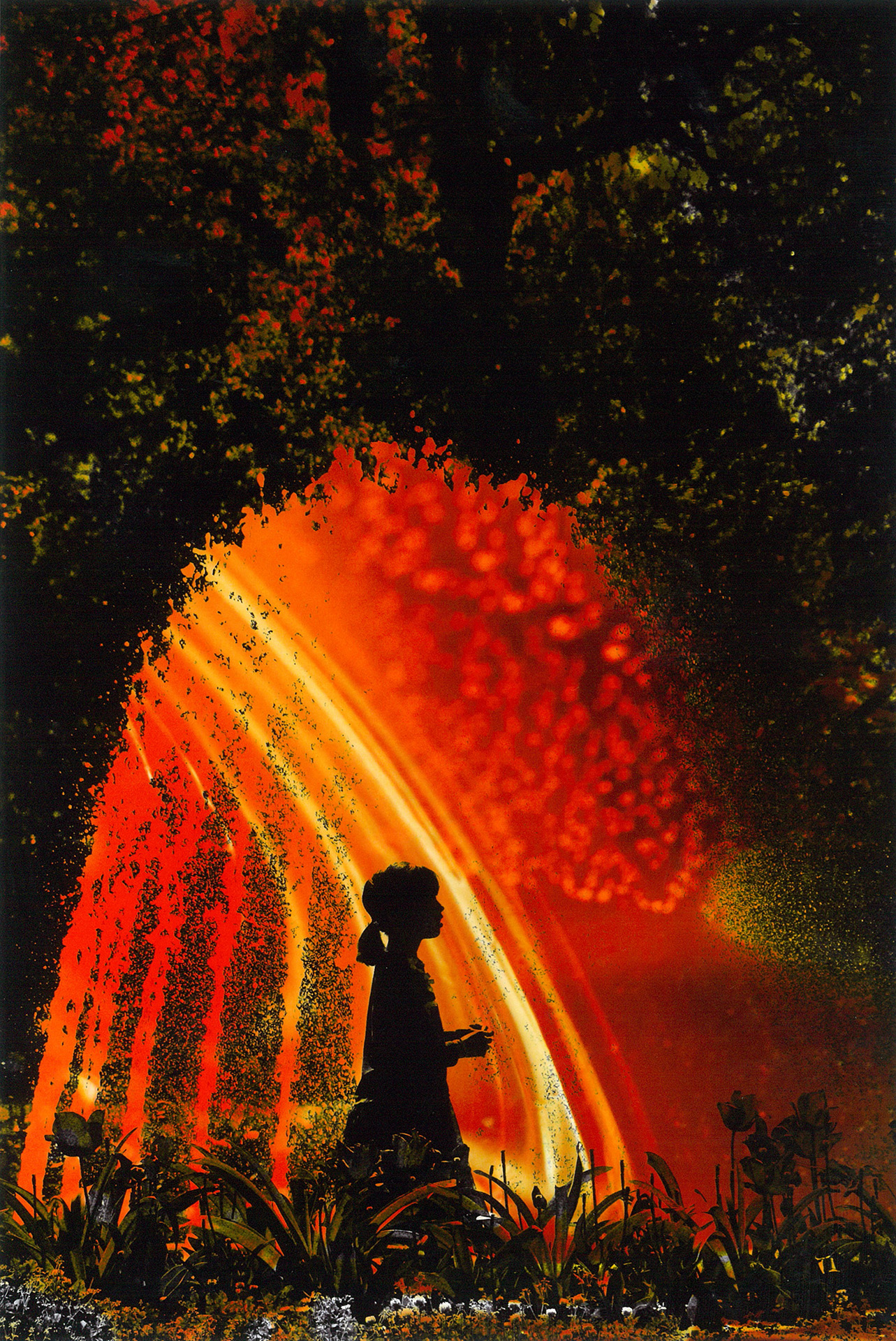 第6回アート・フォト・NARITA審査結果 | 公津の杜コミュニティセンター