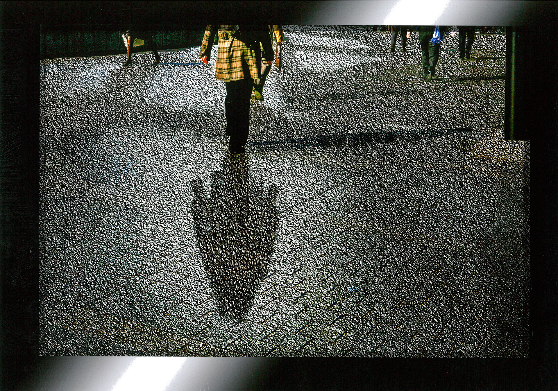 厳選 なる 審査 の 結果 (97) 사진