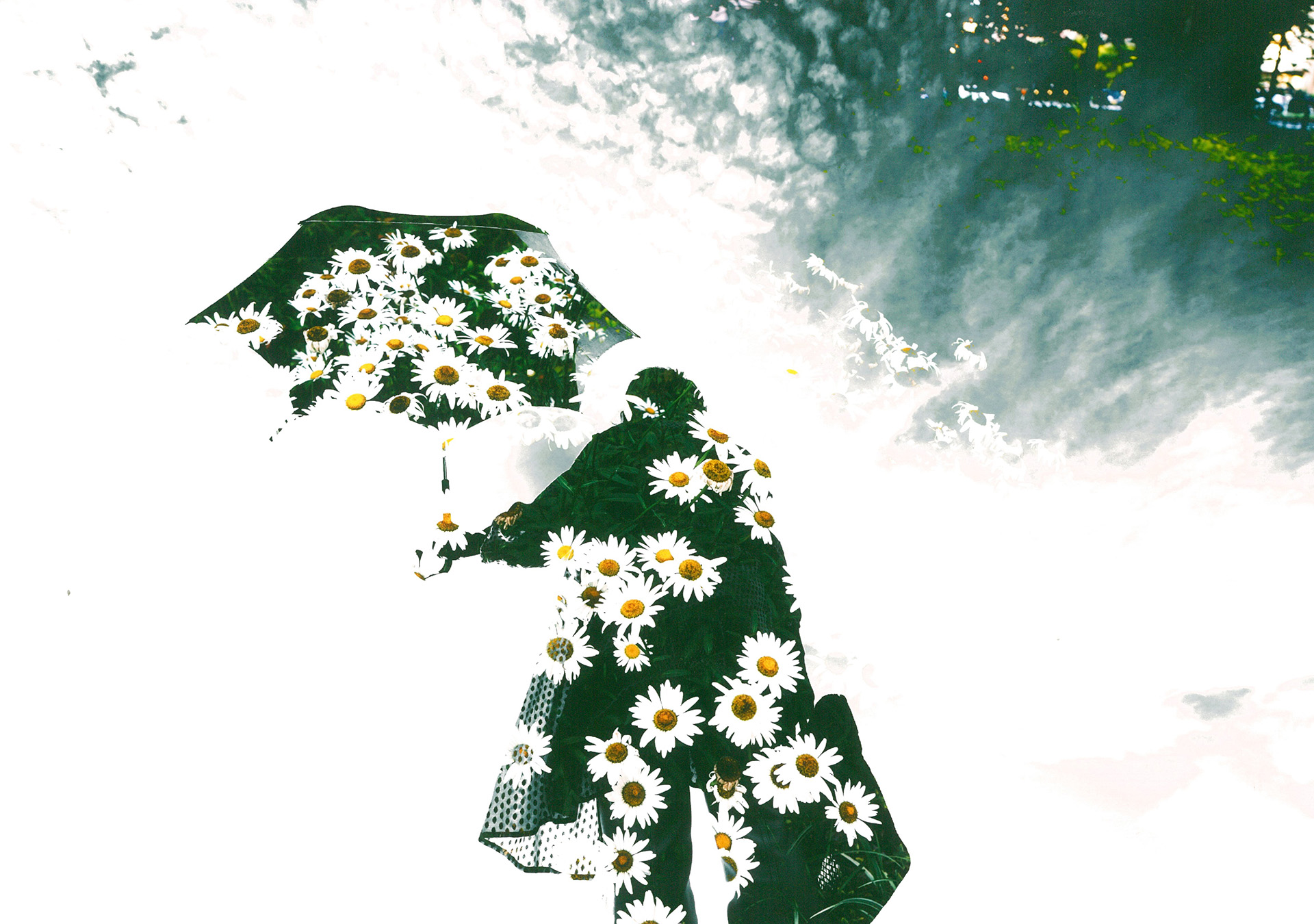 第6回アート・フォト・NARITA審査結果 | 公津の杜コミュニティセンター