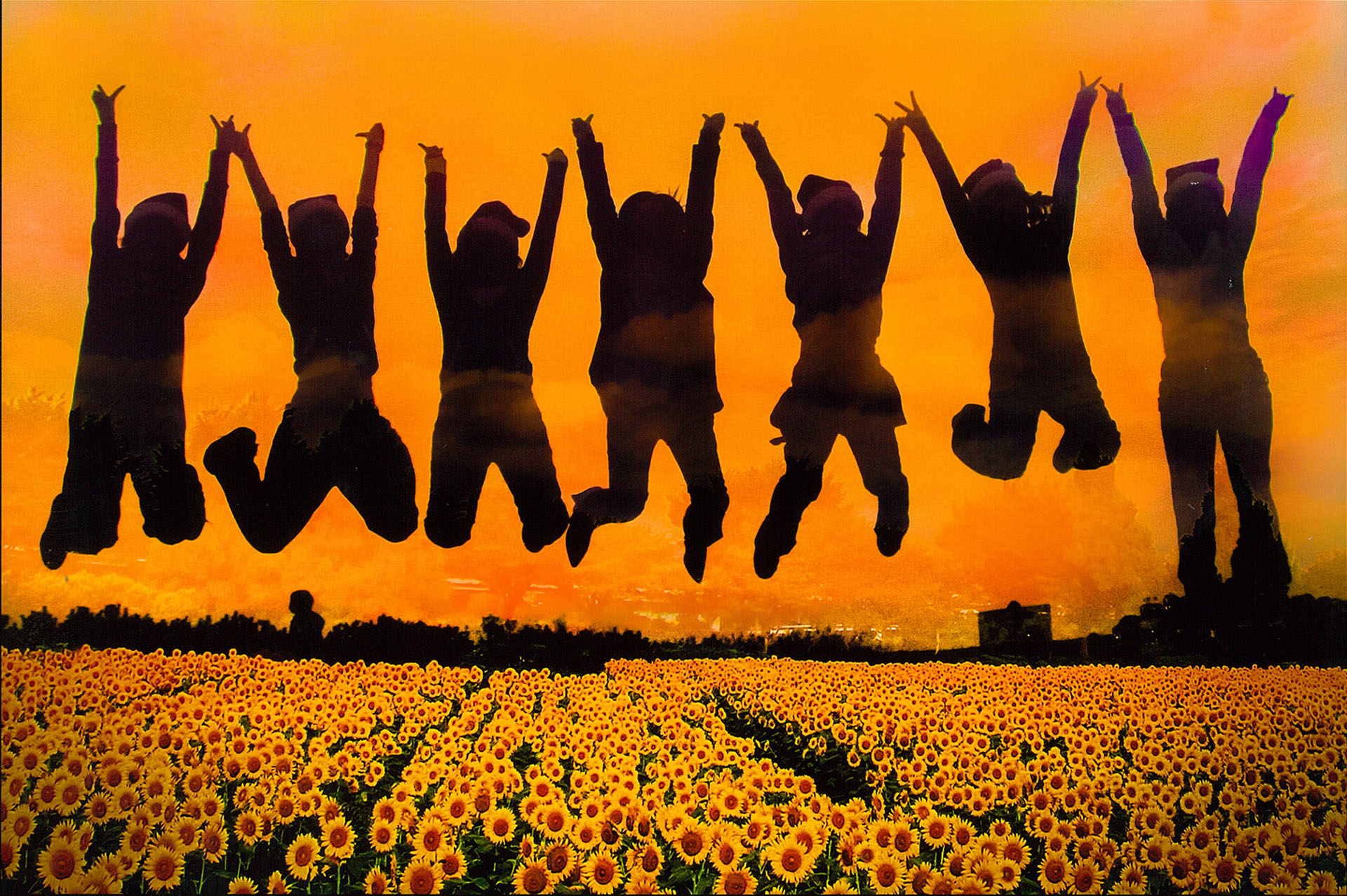 第6回アート・フォト・NARITA審査結果 | 公津の杜コミュニティセンター